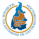 Logo Sociedade Tocantinense de Gastro